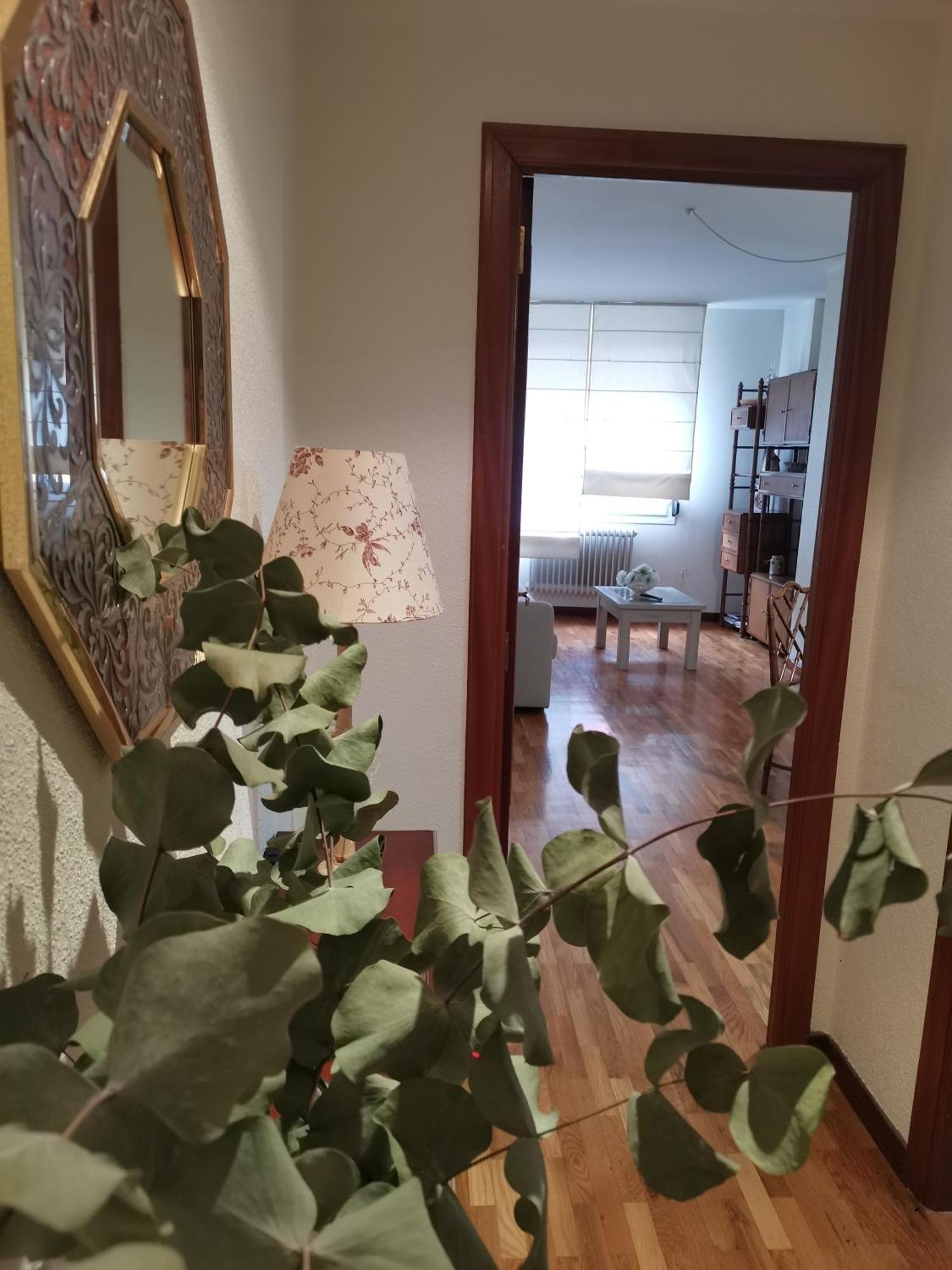 Apartamento Estriva エスカライ エクステリア 写真